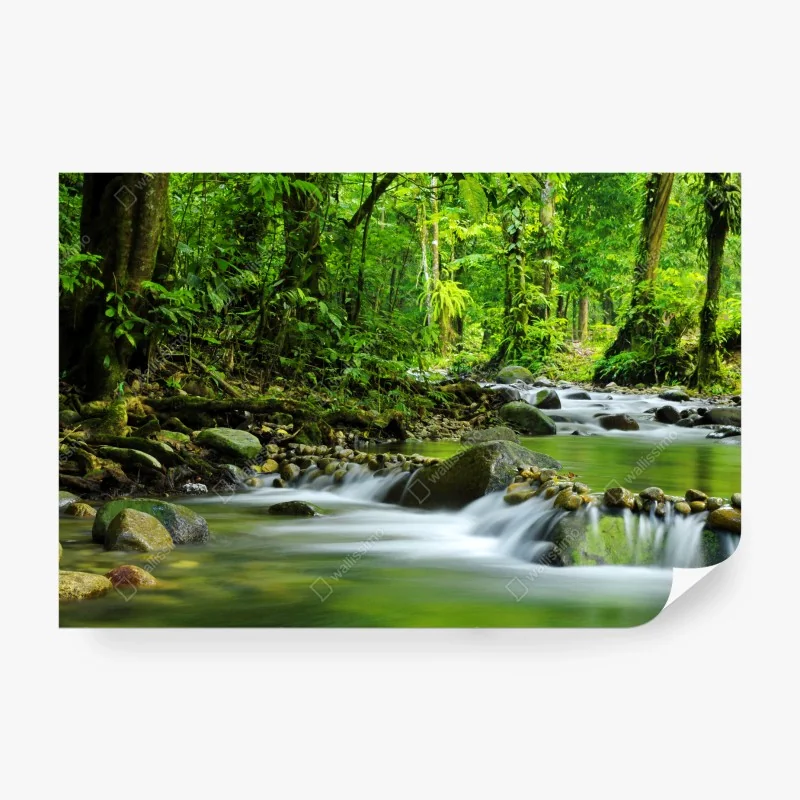 Carta da parati torrente nella foresta verde