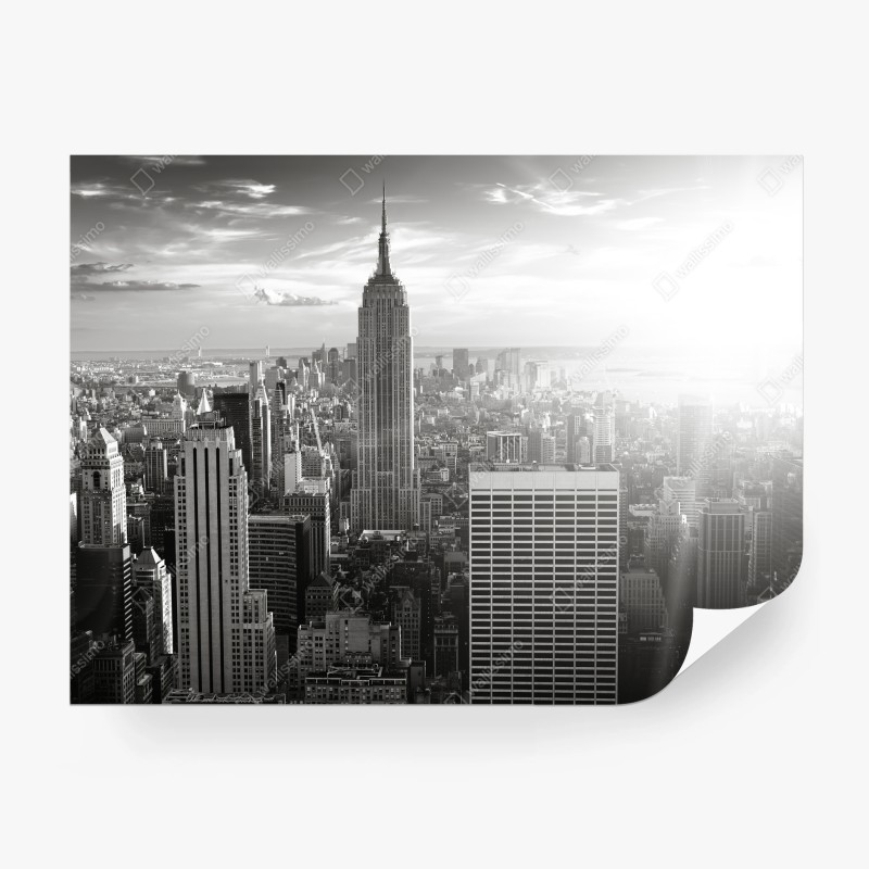 Carta da parati panorama monocromatico di New York