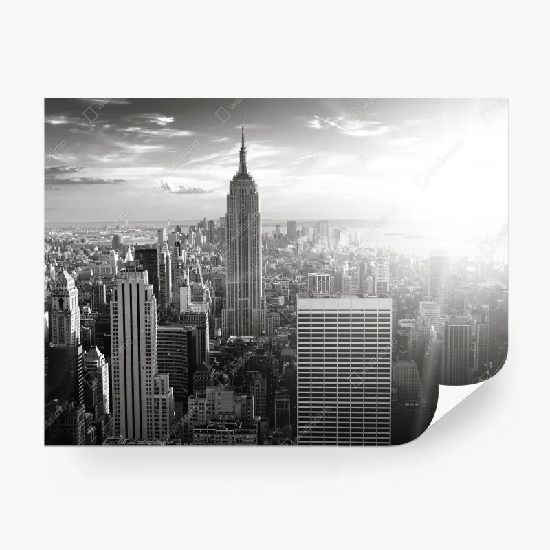 Carta da parati panorama monocromatico di New York