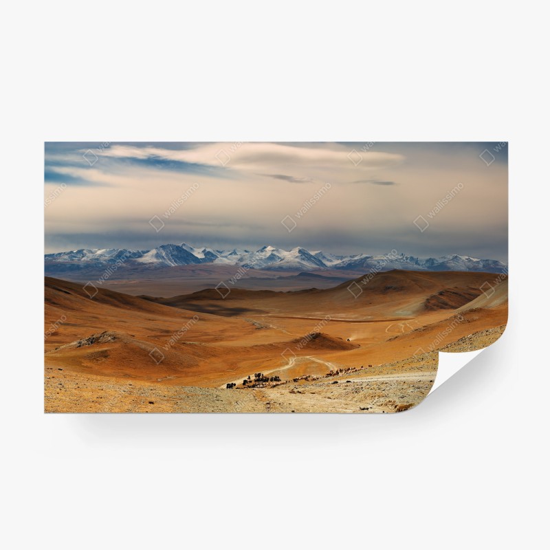 Carta da parati passaggio della mandria nelle steppe della Mongolia