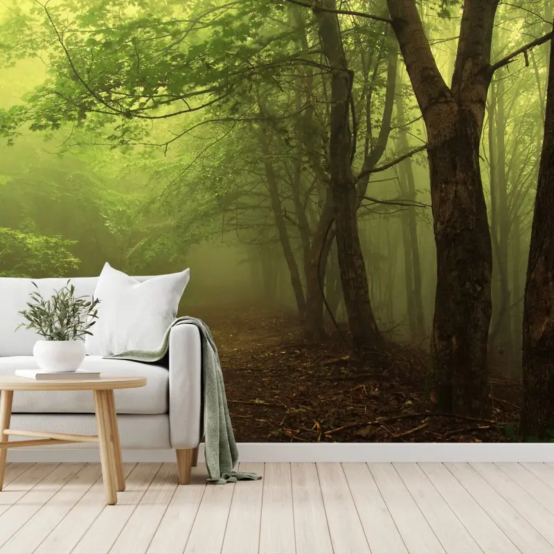 Carta da parati sentiero nella foresta nebbiosa