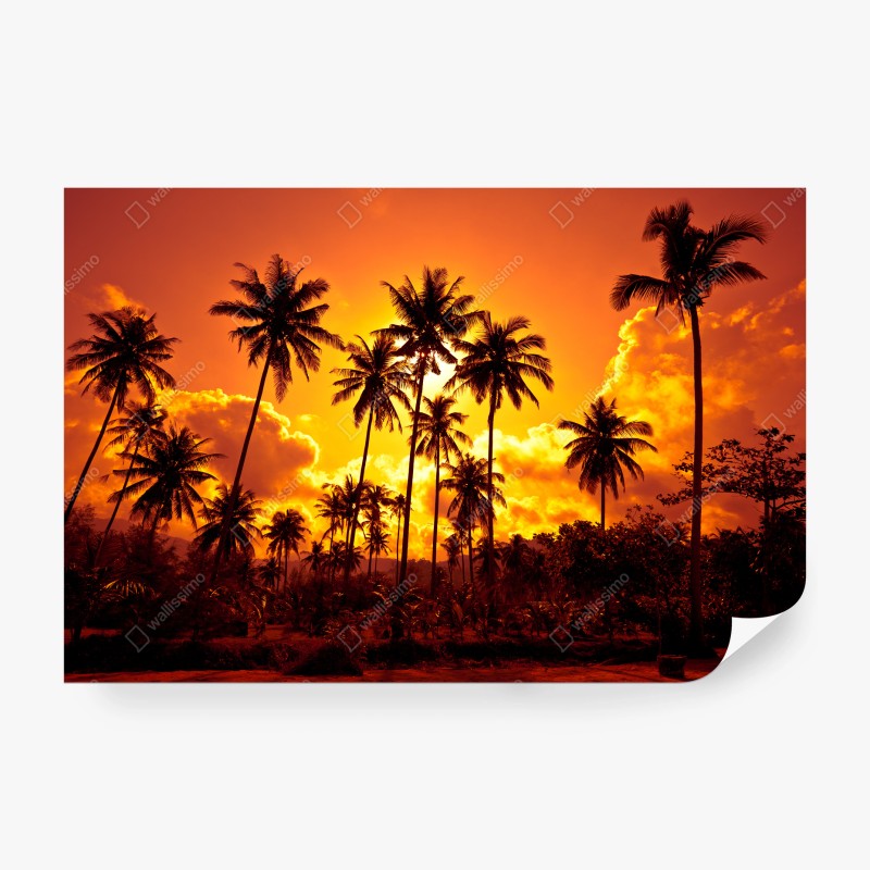 Carta da parati tramonto tropicale con palme in silhouette