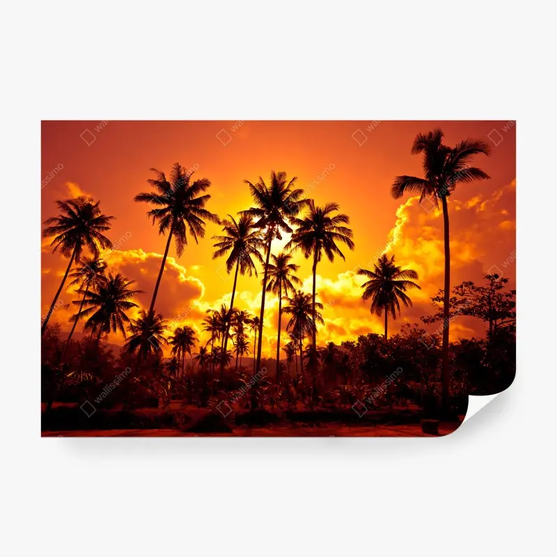 Carta da parati tramonto tropicale con palme in silhouette