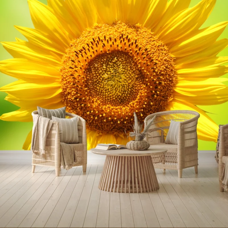Carta da parati girasole luminoso su sfondo verde