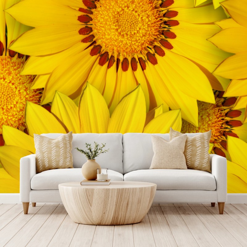 Carta da parati esplosione di girasoli gialli