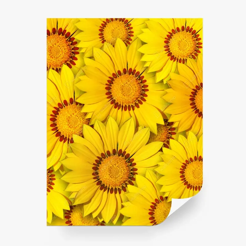 Carta da parati esplosione di girasoli gialli