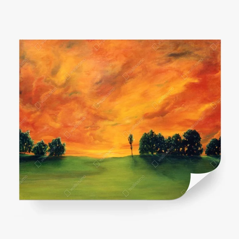 Carta da parati tramonto infuocato sul campo verde