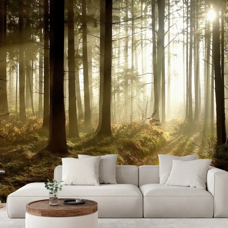 Carta da parati sentiero dorato nella foresta al mattino