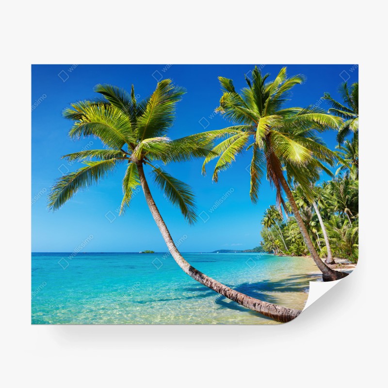 Carta da parati oasi tropicale a Koh Kood