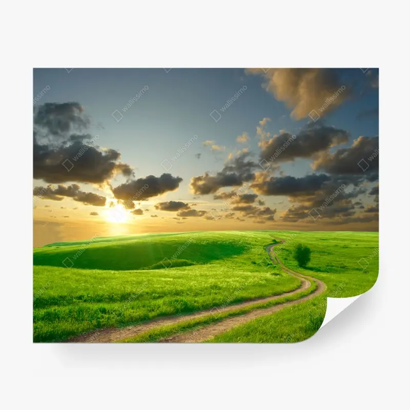 Carta da parati paesaggio sereno: colline verdi al tramonto