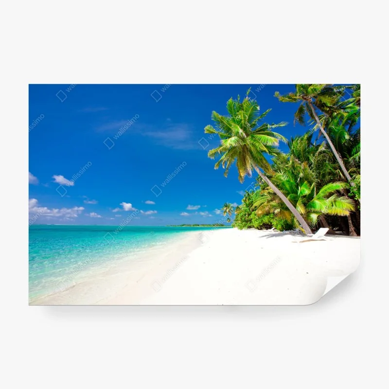Carta da parati spiaggia tropicale con palme e mare turchese