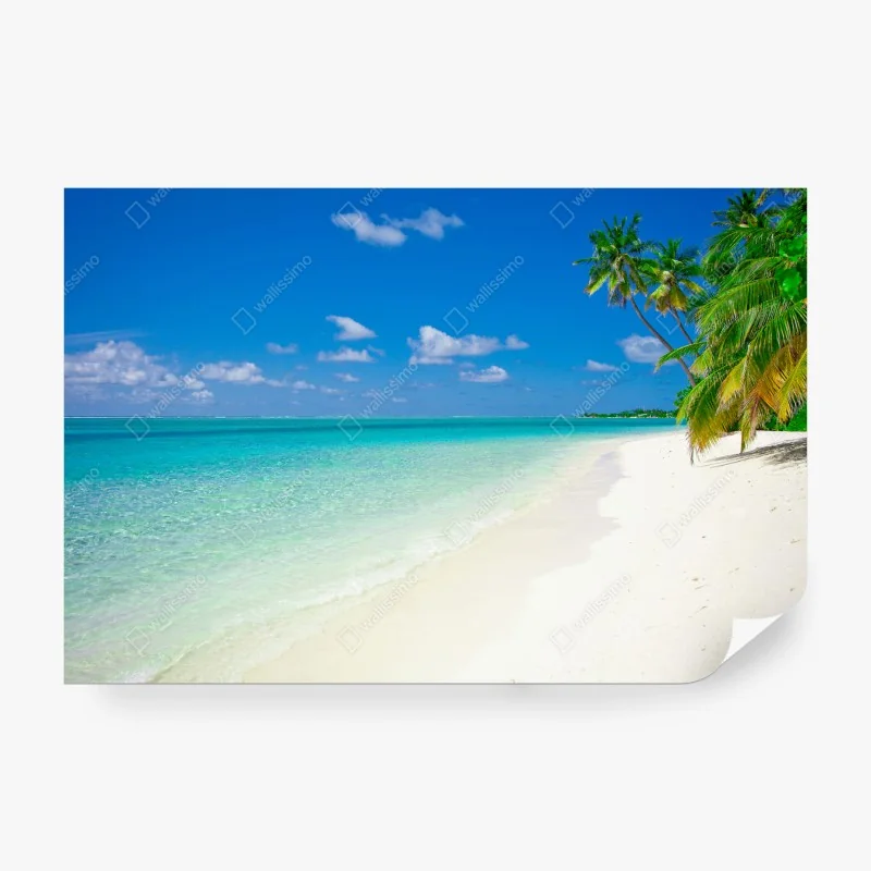 Carta da parati oasi tropicale sulla spiaggia