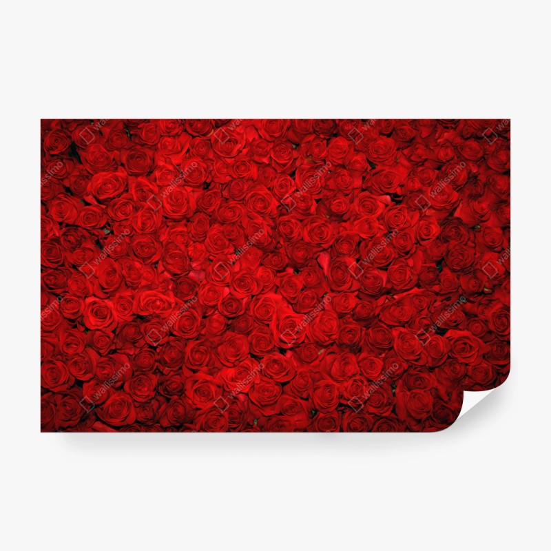 Carta da parati parete di rose rosse romantiche