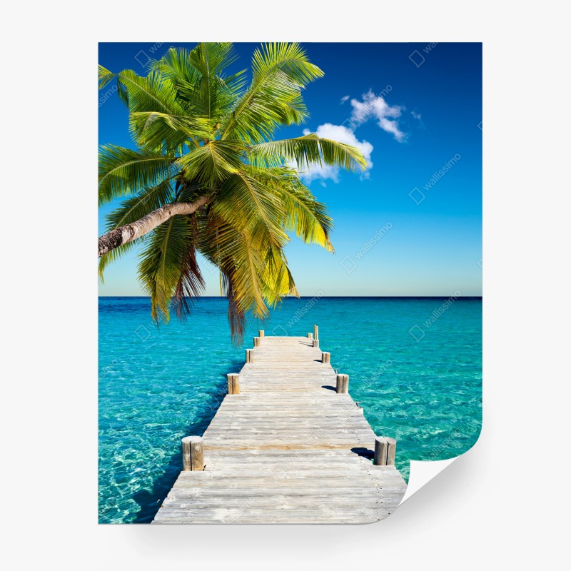 Carta da parati molo tropicale sul mare cristallino