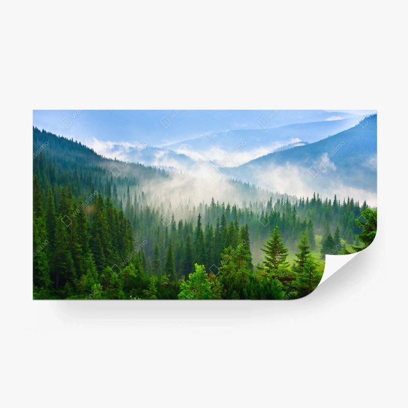 Carta da parati paesaggio montano nebbioso dei Carpazi