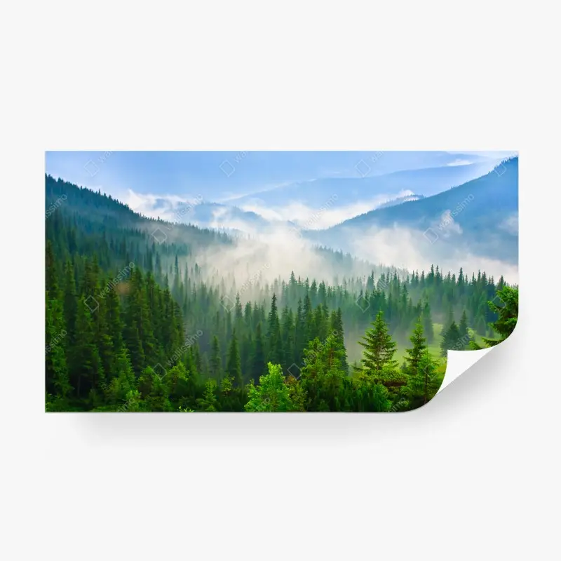 Carta da parati paesaggio montano nebbioso dei Carpazi