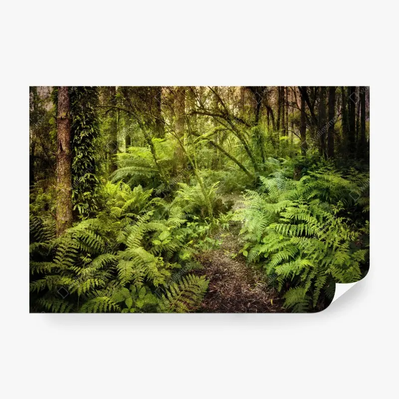 Carta da parati sentiero tra le felci nella foresta pluviale misteriosa