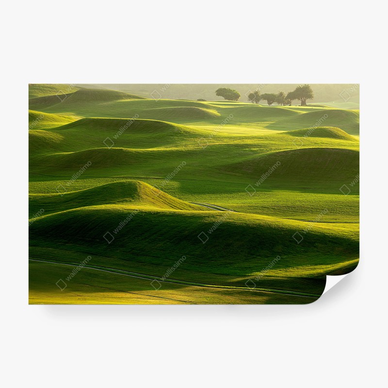 Carta da parati morbide colline verdi al tramonto