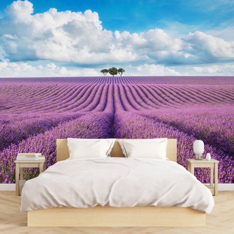 Carta da parati orizzonte di lavanda e alberi solitari