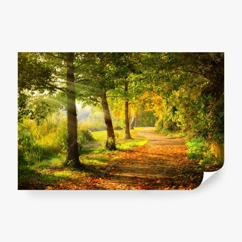 Carta da parati sentiero dorato d'autunno