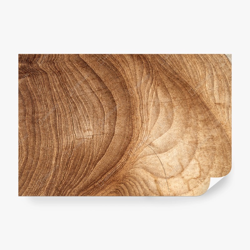 Carta da parati dettaglio venature del legno