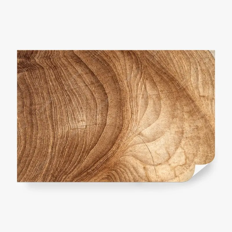 Carta da parati dettaglio venature del legno