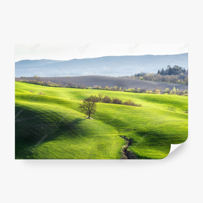Carta da parati colline verdi della Toscana
