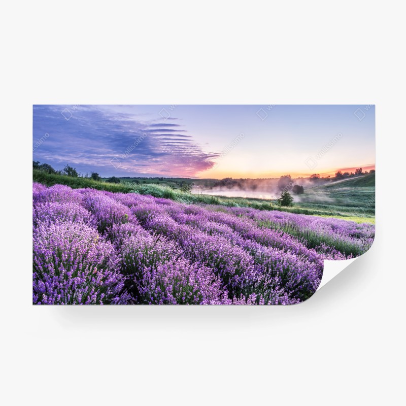 Carta da parati sogno di lavanda all'alba