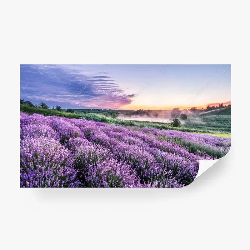 Carta da parati sogno di lavanda all'alba