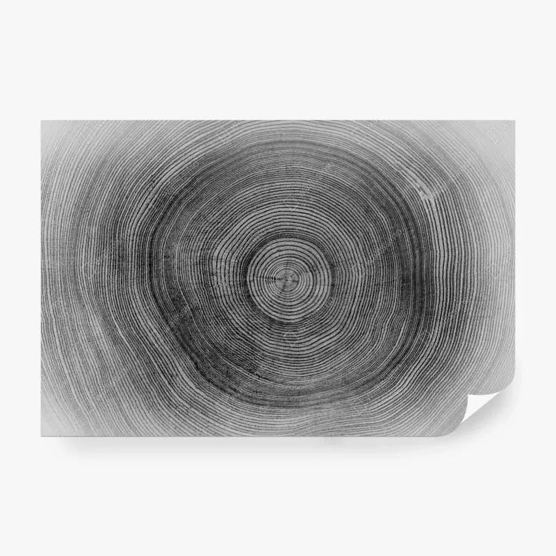 Carta da parati anelli del tempo: texture circolare in legno
