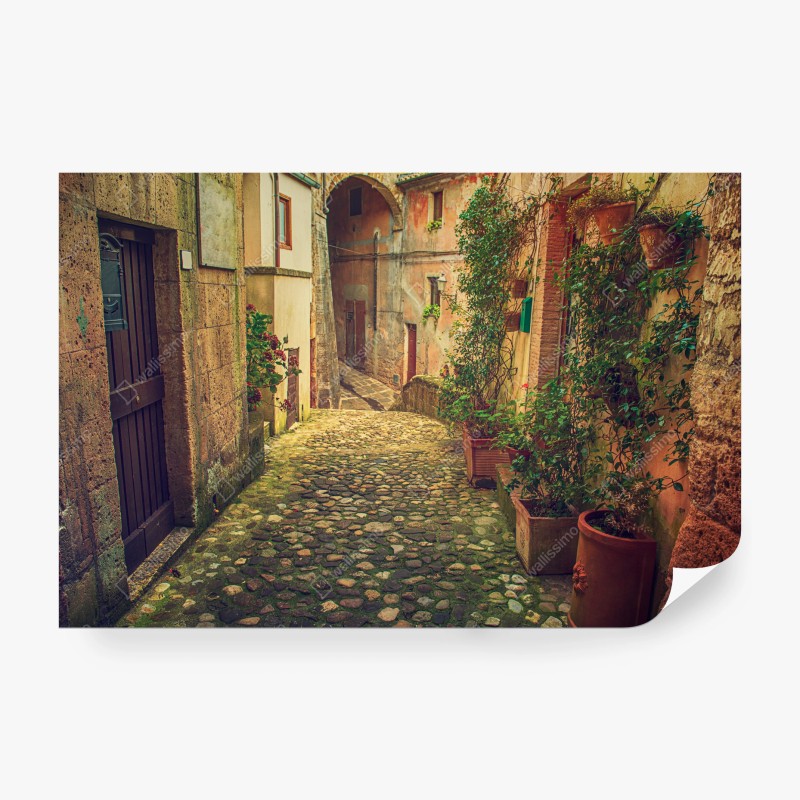 Carta da parati vicolo di borgo antico con fioriere