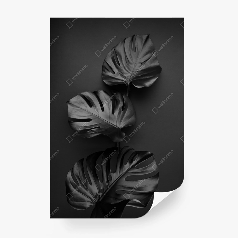 Carta da parati monstera nera su sfondo scuro