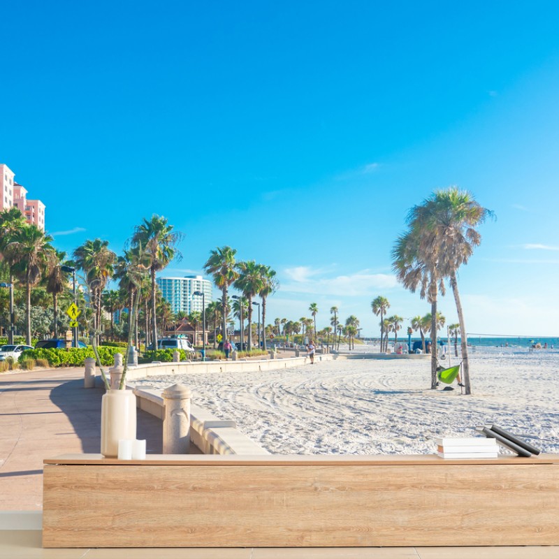 Carta da parati spiaggia urbana con palme e lungomare soleggiato