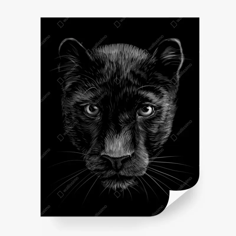 Carta da parati ritratto di pantera nera in bianco e nero