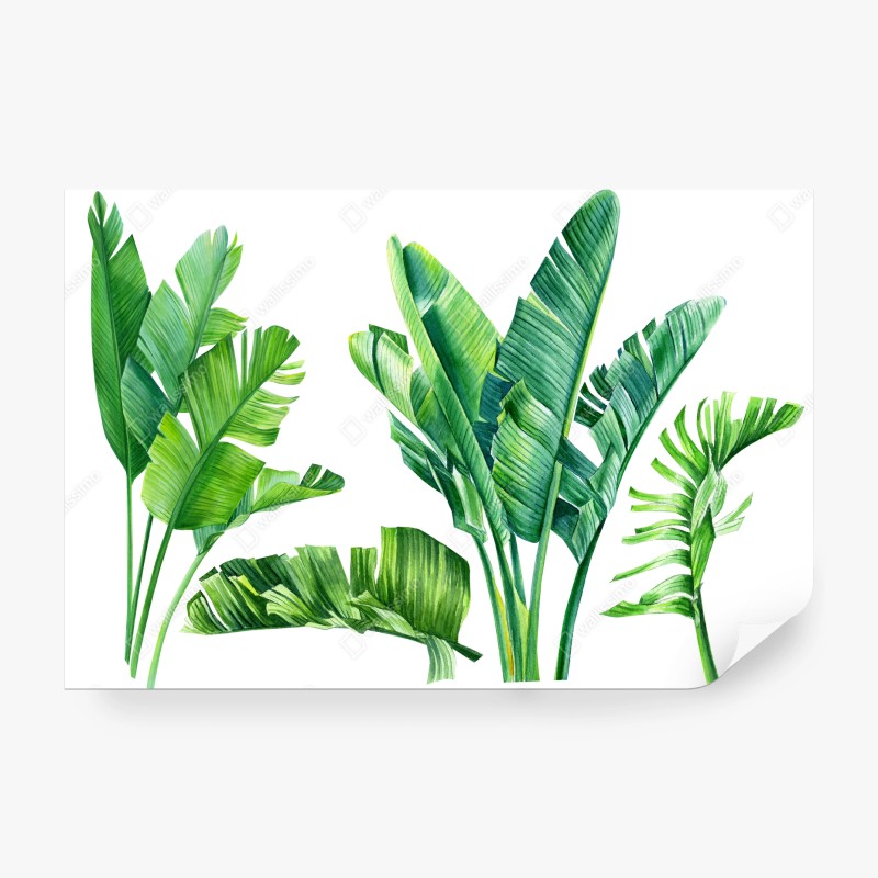 Carta da parati fogliame tropicale in acquerello