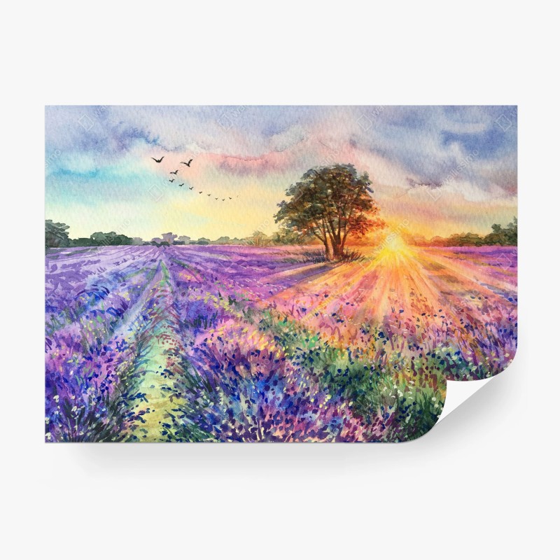 Carta da parati luce d'alba sul campo di lavanda