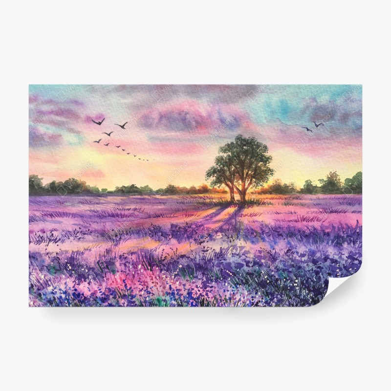 Carta da parati campo di lavanda al tramonto