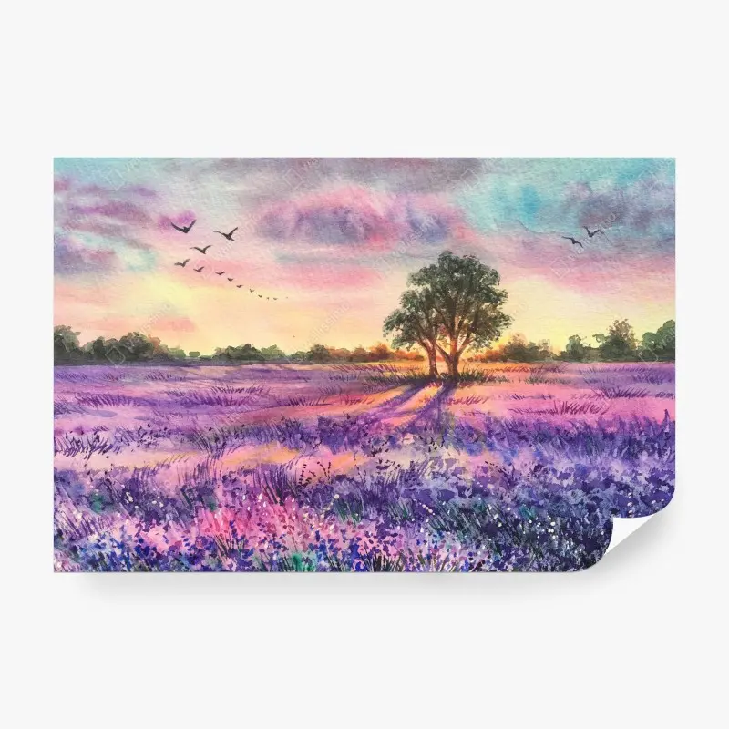 Carta da parati campo di lavanda al tramonto