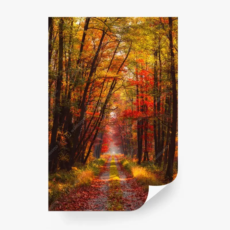 Carta da parati viale d'autunno dorato