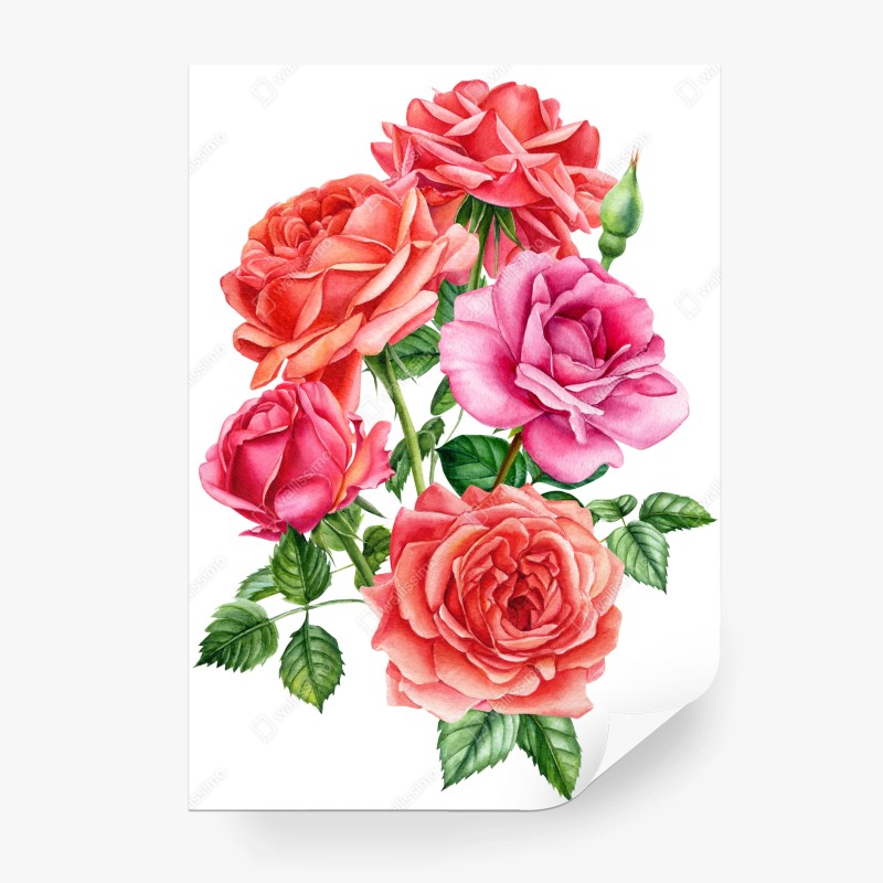 Carta da parati composizione di rose acquerellate