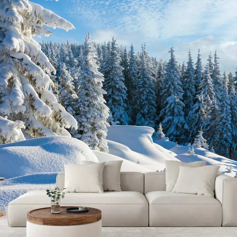 Carta da parati mattino d'inverno tra abeti innevati