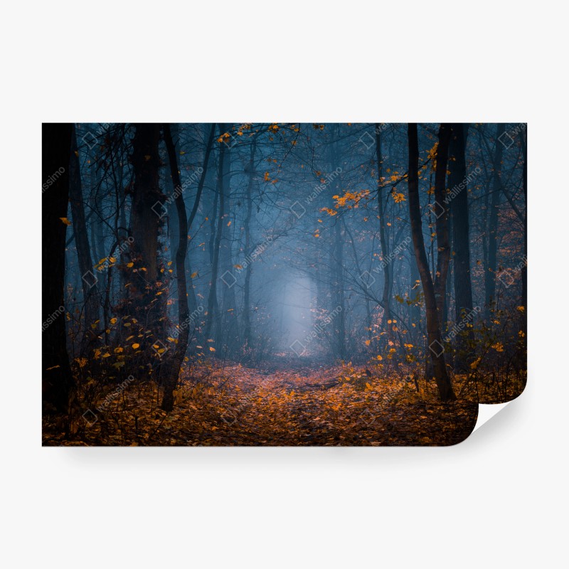 Carta da parati sentiero misterioso nella foresta nebbiosa d'autunno