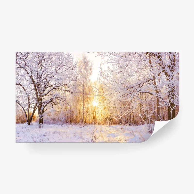 Carta da parati tramonto dorato nella foresta innevata