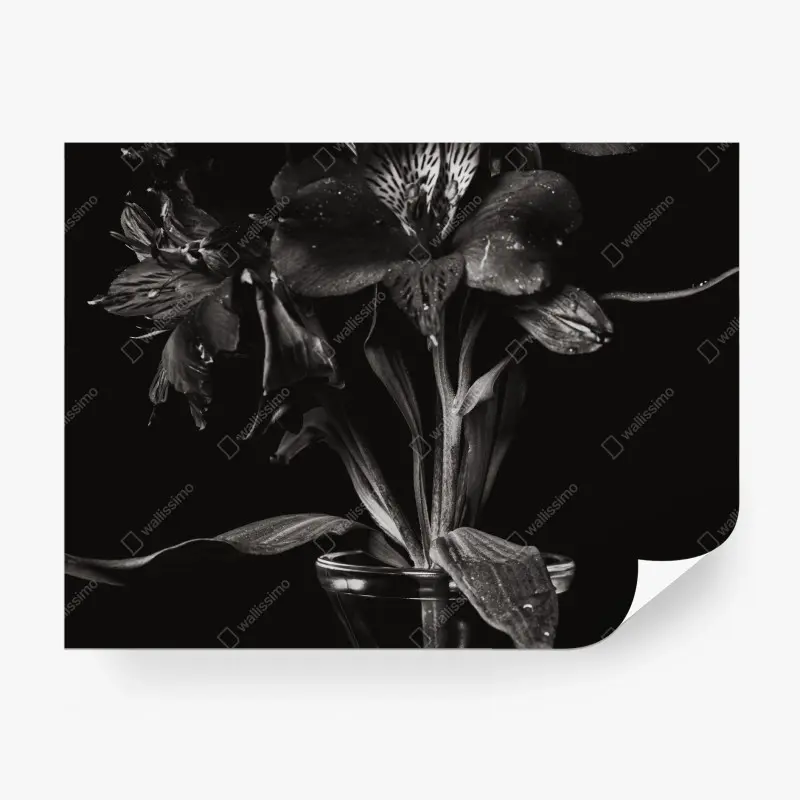 Carta da parati eleganza floreale in bianco e nero
