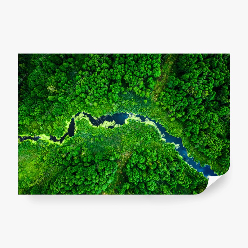 Carta da parati fiume serpeggiante nella foresta lussureggiante