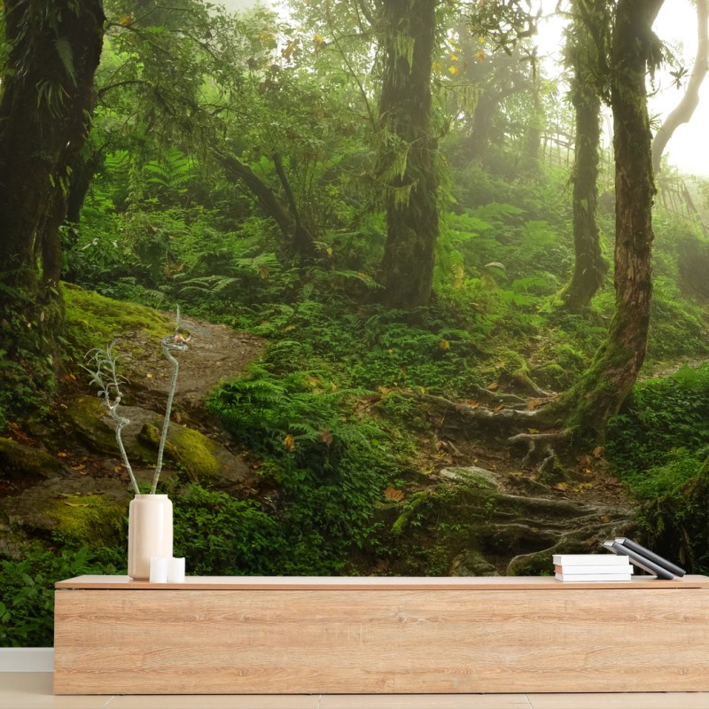 Carta da parati sentiero nella foresta incantata