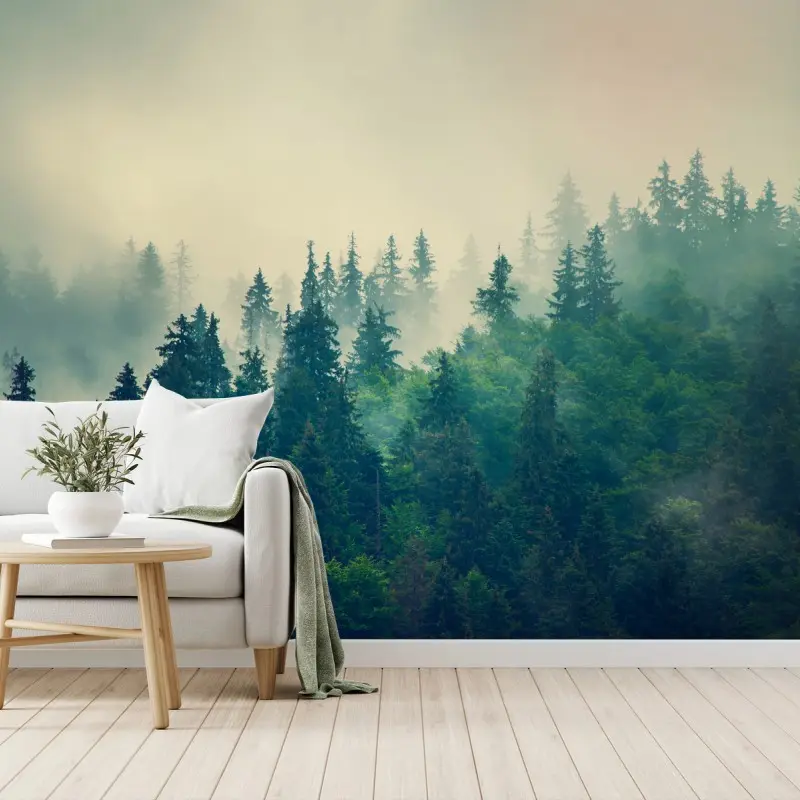 Carta da parati foresta nebbiosa del mattino