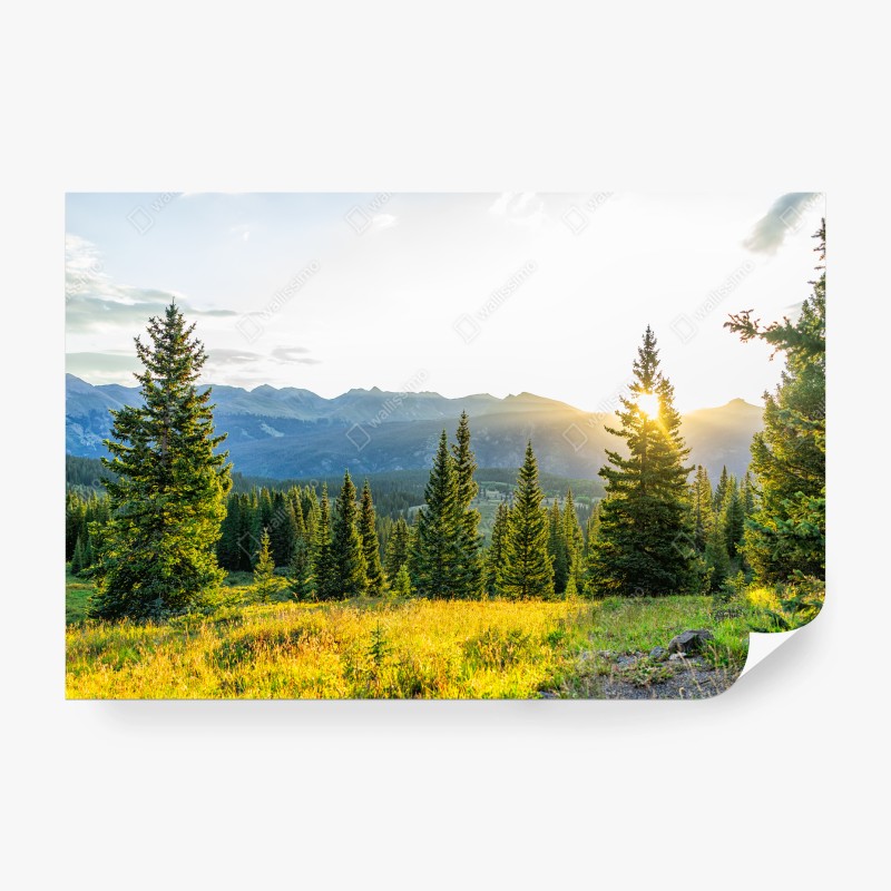 Carta da parati alba dorata sulla foresta montana