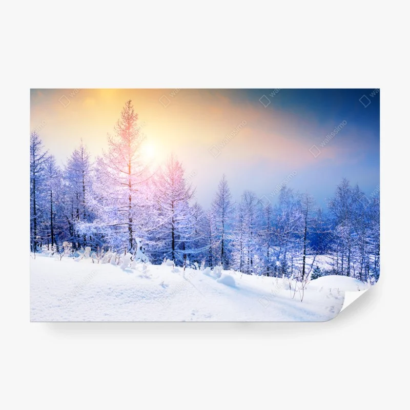 Carta da parati tramonto dorato sulla foresta innevata