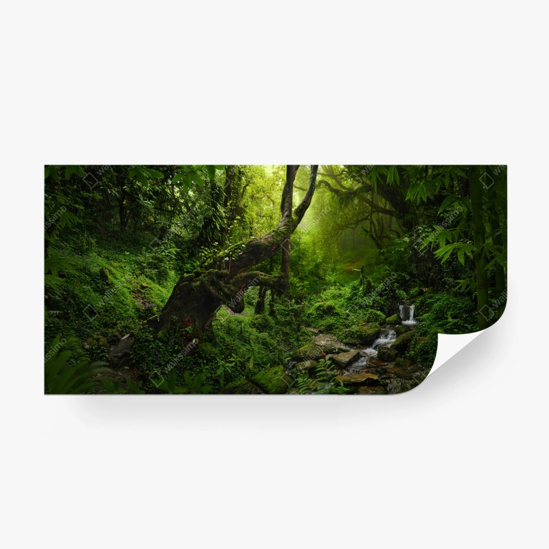 Carta da parati foresta incantata di muschio e ruscello